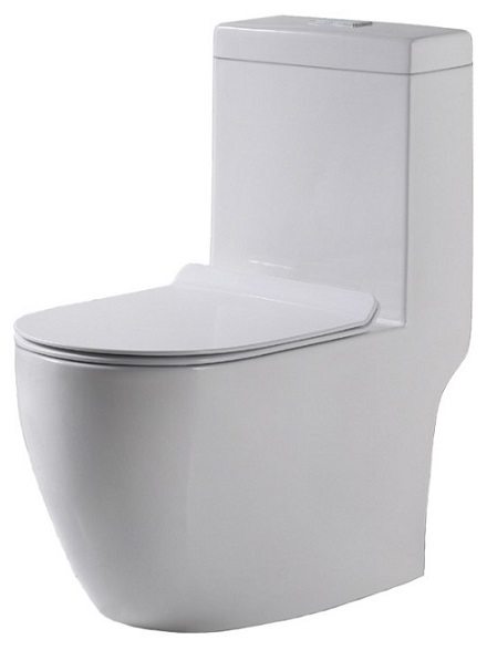 BARON One Piece Toilet Bowl W898